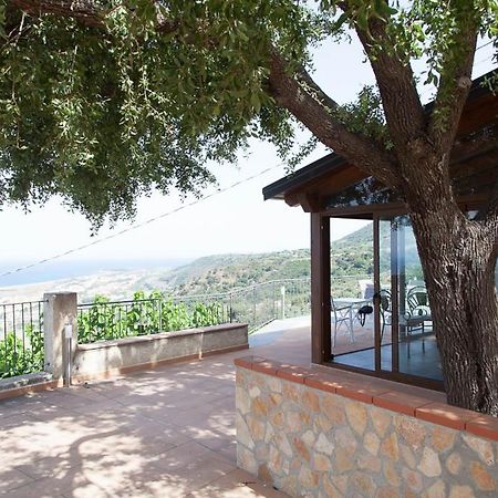 B&B Le Rose Del Tirreno Falerna Exterior foto