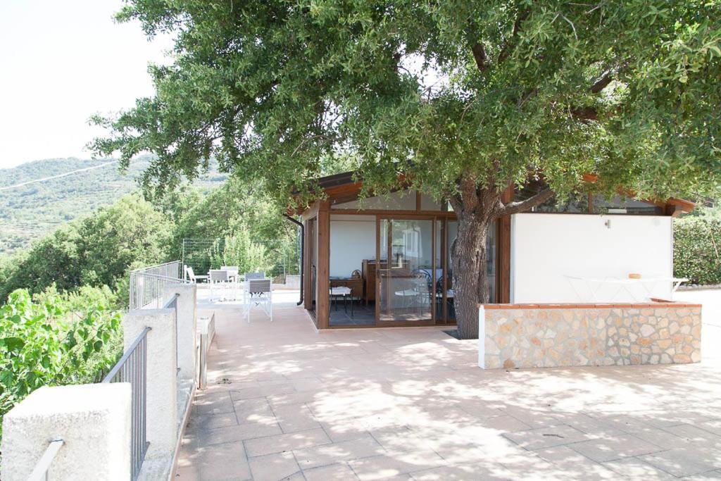 B&B Le Rose Del Tirreno Falerna Exterior foto